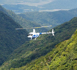 Many Choices of Other Tours and Activities Port Douglas